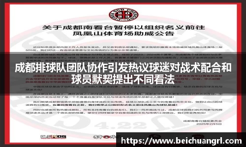 成都排球队团队协作引发热议球迷对战术配合和球员默契提出不同看法